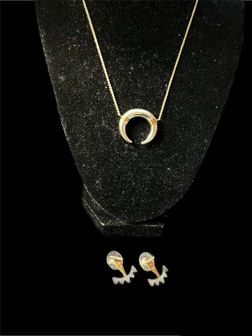 Stella & Dot Luna Horn Pendant Set